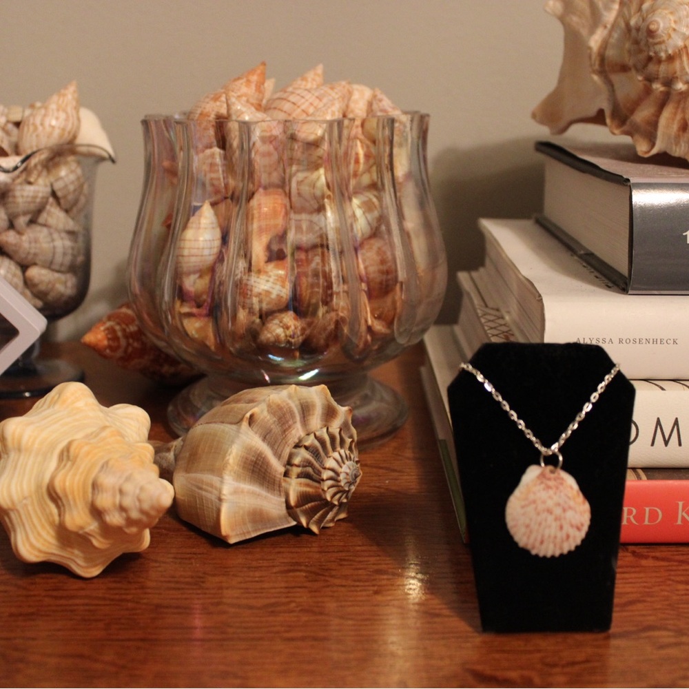 Elegant calico scallop Shell Pendant Necklace